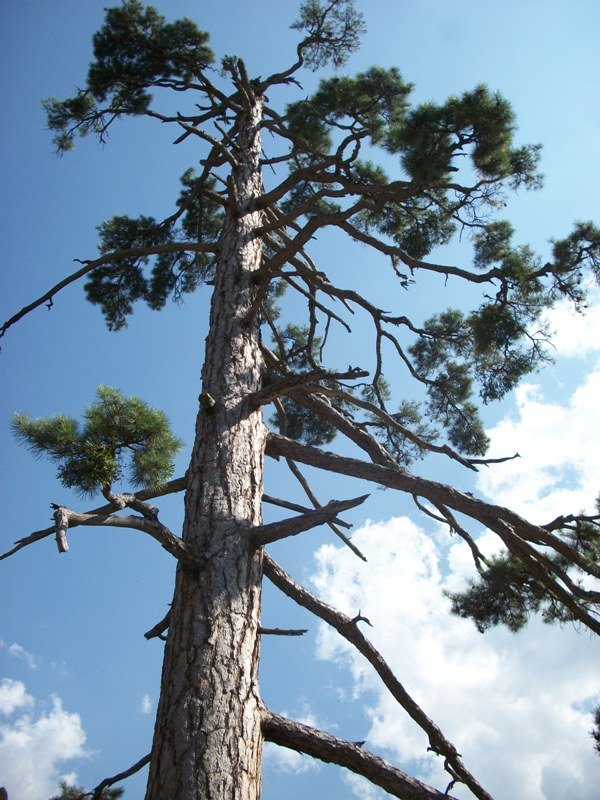 kapuzbaÃƒÂƒÃ‚Â…ÃƒÂ‚Ã‚ÂŸÃƒÂƒÃ‚Â„ÃƒÂ‚Ã‚Â± (187).JPG