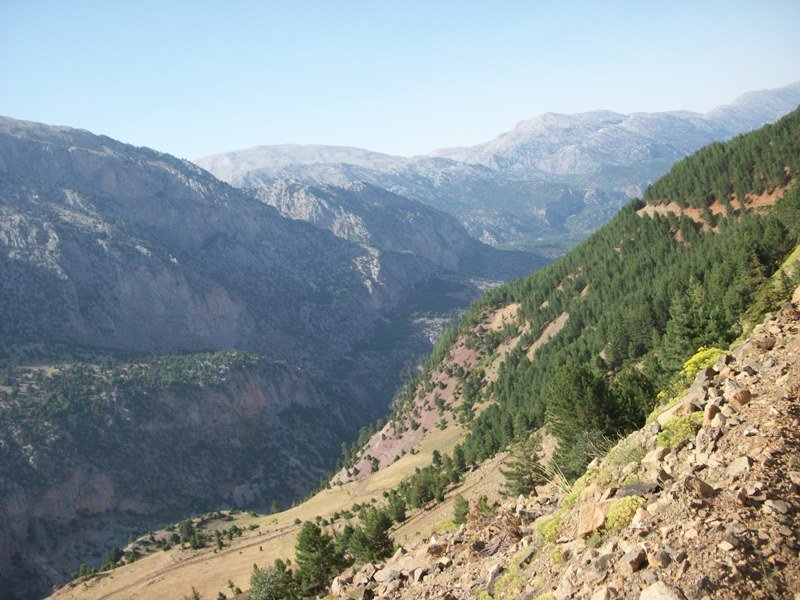 kapuzbaÃƒÂƒÃ‚Â…ÃƒÂ‚Ã‚ÂŸÃƒÂƒÃ‚Â„ÃƒÂ‚Ã‚Â± (196).JPG