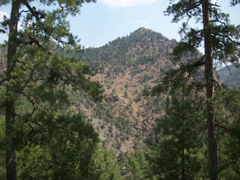 kapuzbaÃƒÂƒÃ‚Â…ÃƒÂ‚Ã‚ÂŸÃƒÂƒÃ‚Â„ÃƒÂ‚Ã‚Â± (23).JPG