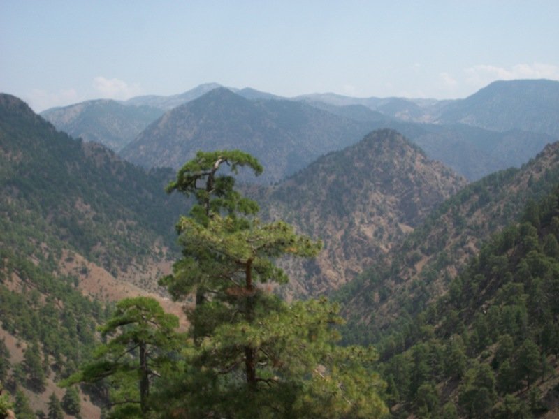 kapuzbaÃƒÂƒÃ‚Â…ÃƒÂ‚Ã‚ÂŸÃƒÂƒÃ‚Â„ÃƒÂ‚Ã‚Â± (47).JPG