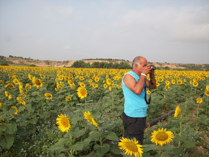 kapuzbaÃƒÂƒÃ‚Â…ÃƒÂ‚Ã‚ÂŸÃƒÂƒÃ‚Â„ÃƒÂ‚Ã‚Â± (6).JPG