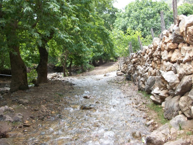 kapuzbaÃƒÂƒÃ‚Â…ÃƒÂ‚Ã‚ÂŸÃƒÂƒÃ‚Â„ÃƒÂ‚Ã‚Â± (60).JPG