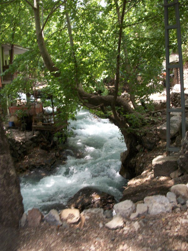 kapuzbaÃƒÂƒÃ‚Â…ÃƒÂ‚Ã‚ÂŸÃƒÂƒÃ‚Â„ÃƒÂ‚Ã‚Â± (85).JPG