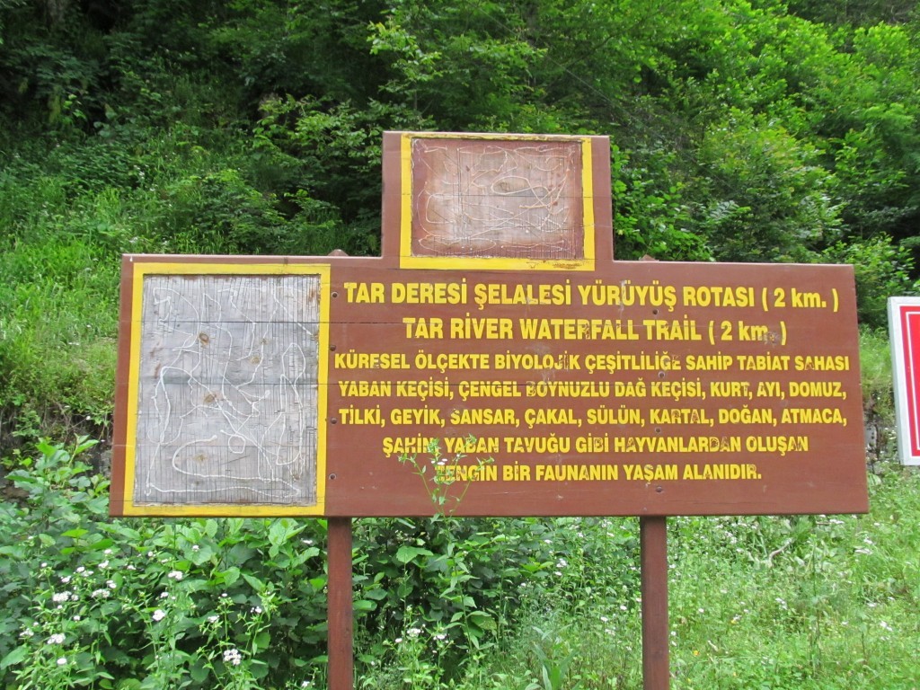 karadeniz 369.jpg