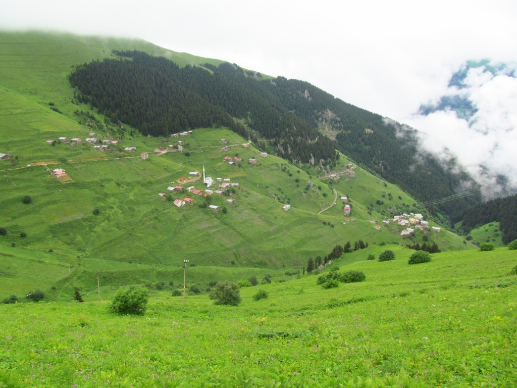 Karadeniz 496