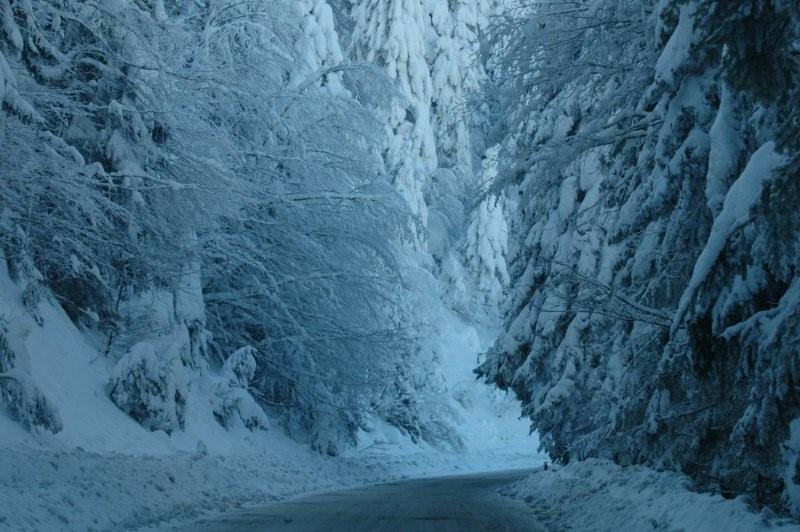 KaragÃƒÂƒÃ‚ÂƒÃƒÂ‚Ã‚Â¶l 128.jpg