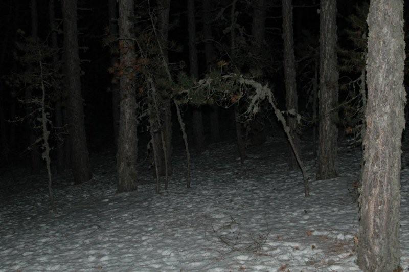 KaragÃƒÂƒÃ‚ÂƒÃƒÂ‚Ã‚Â¶l 147.jpg