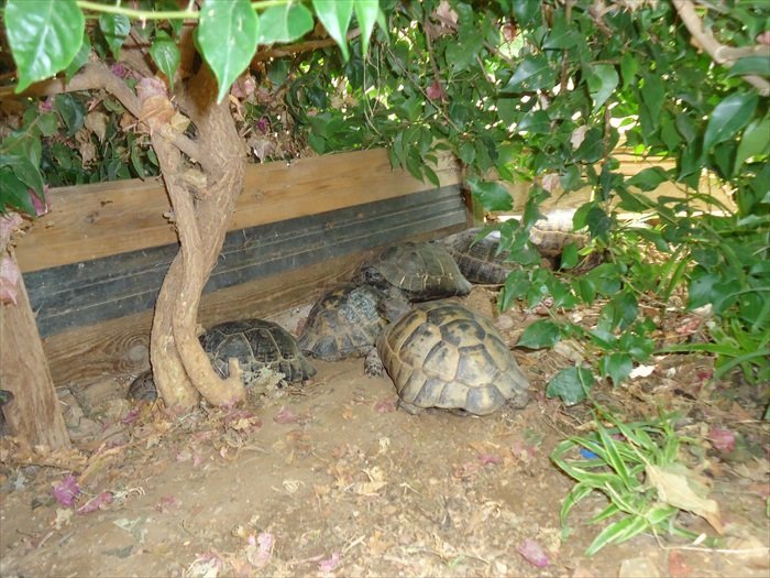 Karavan parkÃƒÂƒÃ‚Â„ÃƒÂ‚Ã‚Â±.jpg
