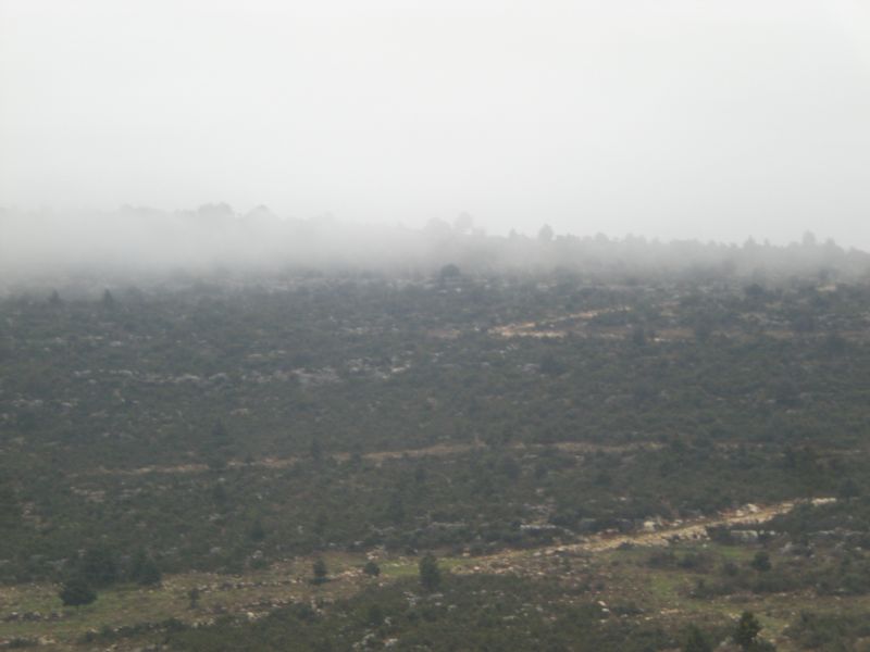 karbogazÃƒÂƒÃ‚Â„ÃƒÂ‚Ã‚Â± 30 01 2011 009.jpg