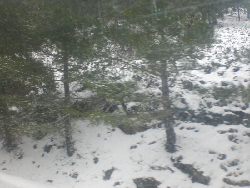 karbogazÃƒÂƒÃ‚Â„ÃƒÂ‚Ã‚Â± 30 01 2011 026.jpg