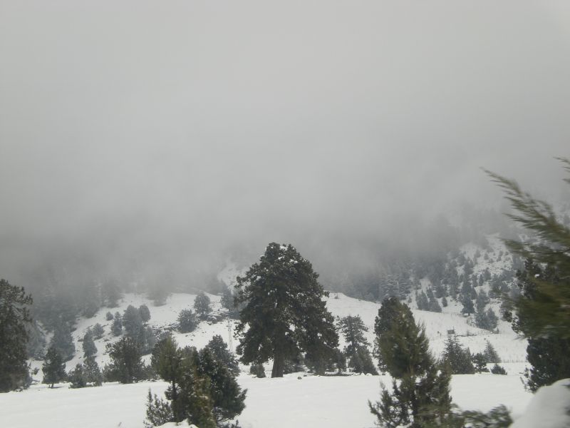 karbogazÃƒÂƒÃ‚Â„ÃƒÂ‚Ã‚Â± 30 01 2011 035.jpg