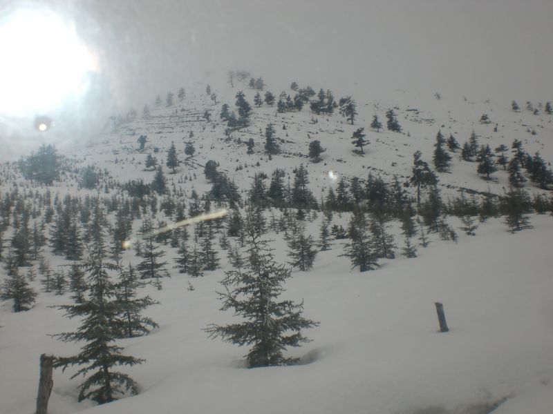 karbogazÃƒÂƒÃ‚Â„ÃƒÂ‚Ã‚Â± 30 01 2011 044.jpg