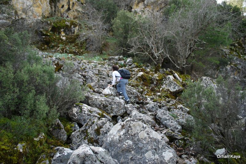 KARDELENLER 080.jpg