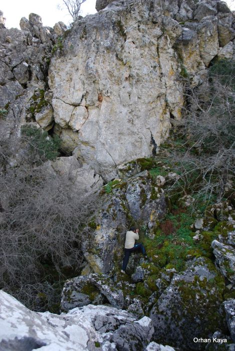 KARDELENLER 112.jpg