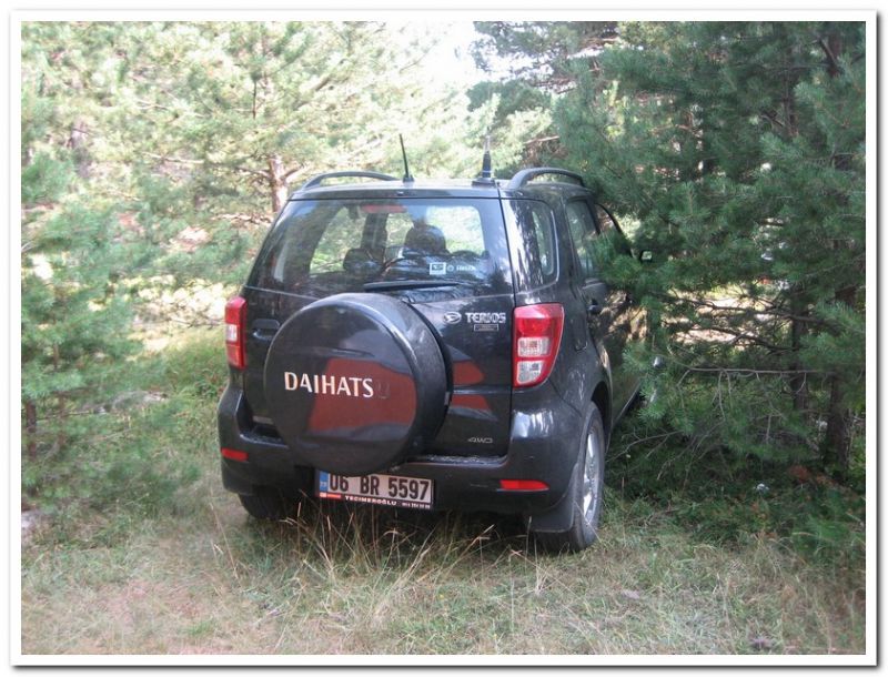 karma gezenbilir-hoytur -niÃƒÂƒÃ‚Â…ÃƒÂ‚Ã‚ÂŸan  2010 605.jpg