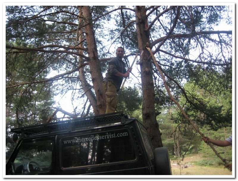 karma gezenbilir-hoytur -niÃƒÂƒÃ‚Â…ÃƒÂ‚Ã‚ÂŸan  2010 620.jpg