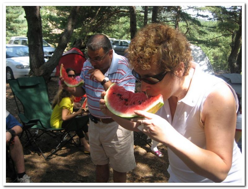 karma gezenbilir-hoytur -niÃƒÂƒÃ‚Â…ÃƒÂ‚Ã‚ÂŸan  2010 635.jpg