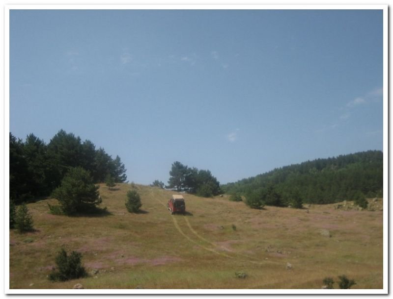 karma gezenbilir-hoytur -niÃƒÂƒÃ‚Â…ÃƒÂ‚Ã‚ÂŸan  2010 656.jpg