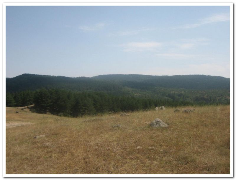 karma gezenbilir-hoytur -niÃƒÂƒÃ‚Â…ÃƒÂ‚Ã‚ÂŸan  2010 660.jpg