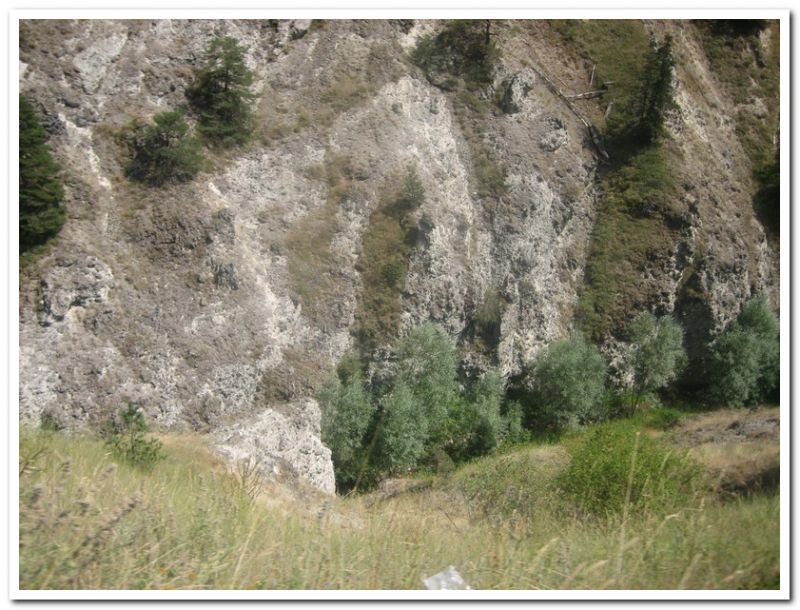 karma gezenbilir-hoytur -niÃƒÂƒÃ‚Â…ÃƒÂ‚Ã‚ÂŸan  2010 672.jpg