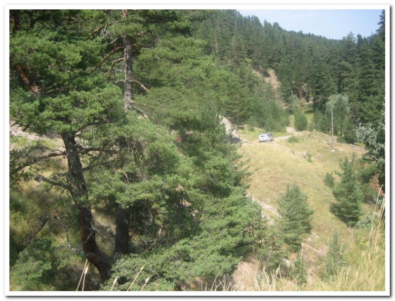 karma gezenbilir-hoytur -niÃƒÂƒÃ‚Â…ÃƒÂ‚Ã‚ÂŸan  2010 674.jpg