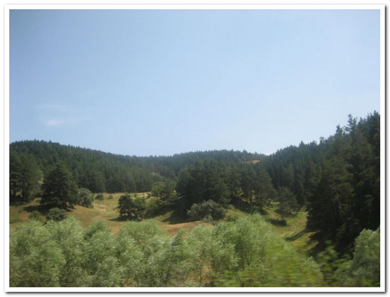 karma gezenbilir-hoytur -niÃƒÂƒÃ‚Â…ÃƒÂ‚Ã‚ÂŸan  2010 680.jpg