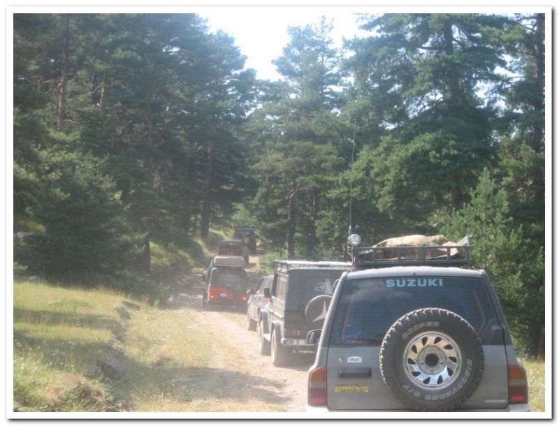 karma gezenbilir-hoytur -niÃƒÂƒÃ‚Â…ÃƒÂ‚Ã‚ÂŸan  2010 710.jpg
