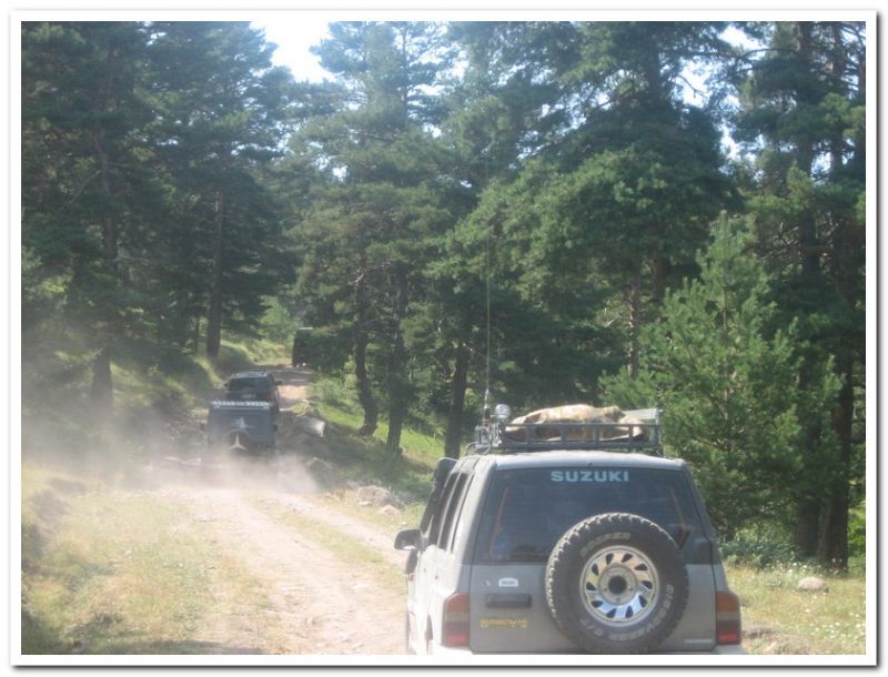 karma gezenbilir-hoytur -niÃƒÂƒÃ‚Â…ÃƒÂ‚Ã‚ÂŸan  2010 711.jpg