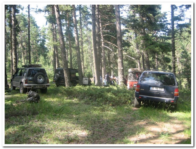 karma gezenbilir-hoytur -niÃƒÂƒÃ‚Â…ÃƒÂ‚Ã‚ÂŸan  2010 716.jpg