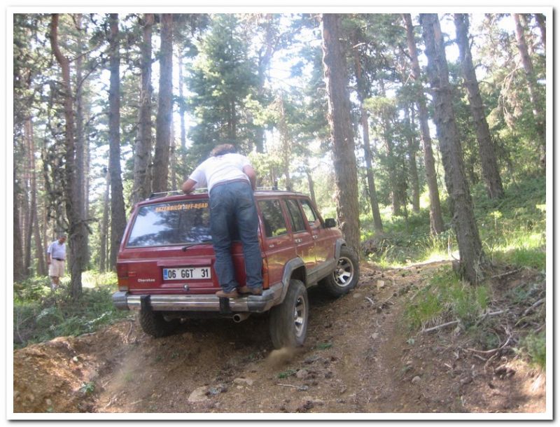karma gezenbilir-hoytur -niÃƒÂƒÃ‚Â…ÃƒÂ‚Ã‚ÂŸan  2010 736.jpg
