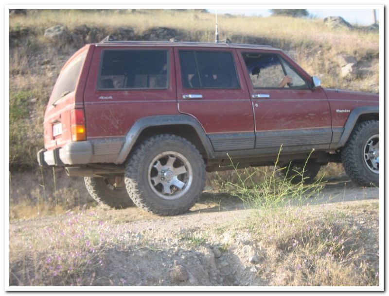karma gezenbilir-hoytur -niÃƒÂƒÃ‚Â…ÃƒÂ‚Ã‚ÂŸan  2010 846.jpg