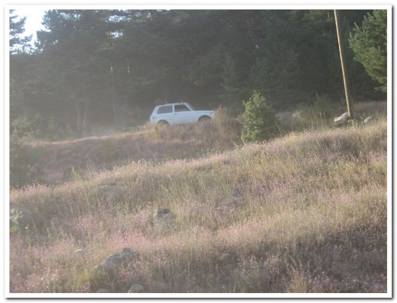 karma gezenbilir-hoytur -niÃƒÂƒÃ‚Â…ÃƒÂ‚Ã‚ÂŸan  2010 848.jpg