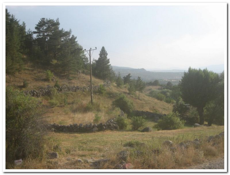 karma gezenbilir-hoytur -niÃƒÂƒÃ‚Â…ÃƒÂ‚Ã‚ÂŸan  2010 861.jpg