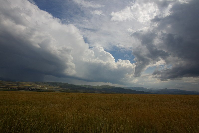 Kars Erzurum Yolundan.jpg