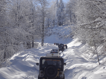 kartepe-2009-018.gif