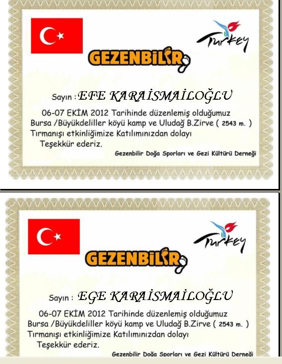 KatÃƒÂƒÃ‚Â„ÃƒÂ‚Ã‚Â±lamama Belgesi.JPG