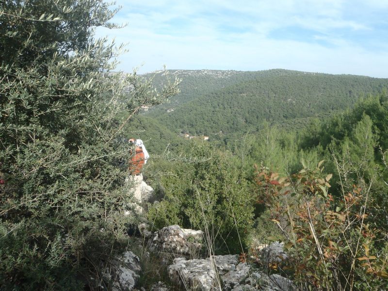 KavaklÃƒÂƒÃ‚Â„ÃƒÂ‚Ã‚Â±dere - 28.11.10 008.jpg