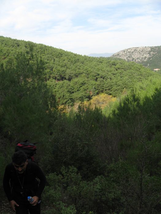 KavaklÃƒÂƒÃ‚Â„ÃƒÂ‚Ã‚Â±dere - 28.11.2010 009.jpg