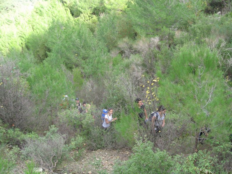 KavaklÃƒÂƒÃ‚Â„ÃƒÂ‚Ã‚Â±dere - 28.11.2010 010.jpg