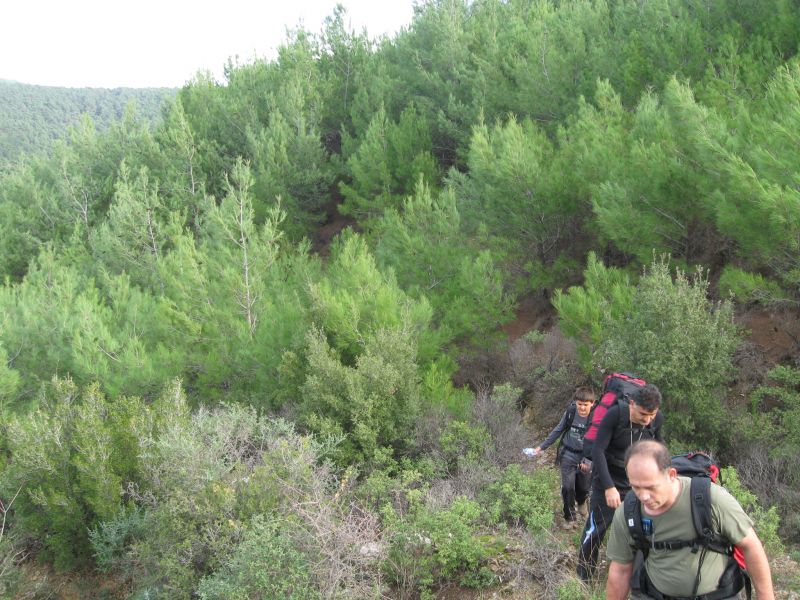 KavaklÃƒÂƒÃ‚Â„ÃƒÂ‚Ã‚Â±dere - 28.11.2010 012.jpg