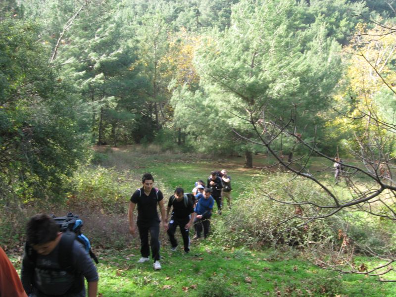 KavaklÃƒÂƒÃ‚Â„ÃƒÂ‚Ã‚Â±dere - 28.11.2010 025.jpg
