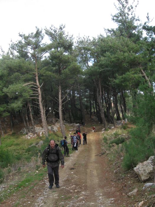 KavaklÃƒÂƒÃ‚Â„ÃƒÂ‚Ã‚Â±dere - 28.11.2010 029.jpg
