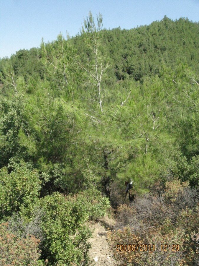 KavaklÃƒÂƒÃ‚Â„ÃƒÂ‚Ã‚Â±dere Kamp - 20-21 AÃƒÂƒÃ‚Â„ÃƒÂ‚Ã‚ÂŸustos 009.jpg