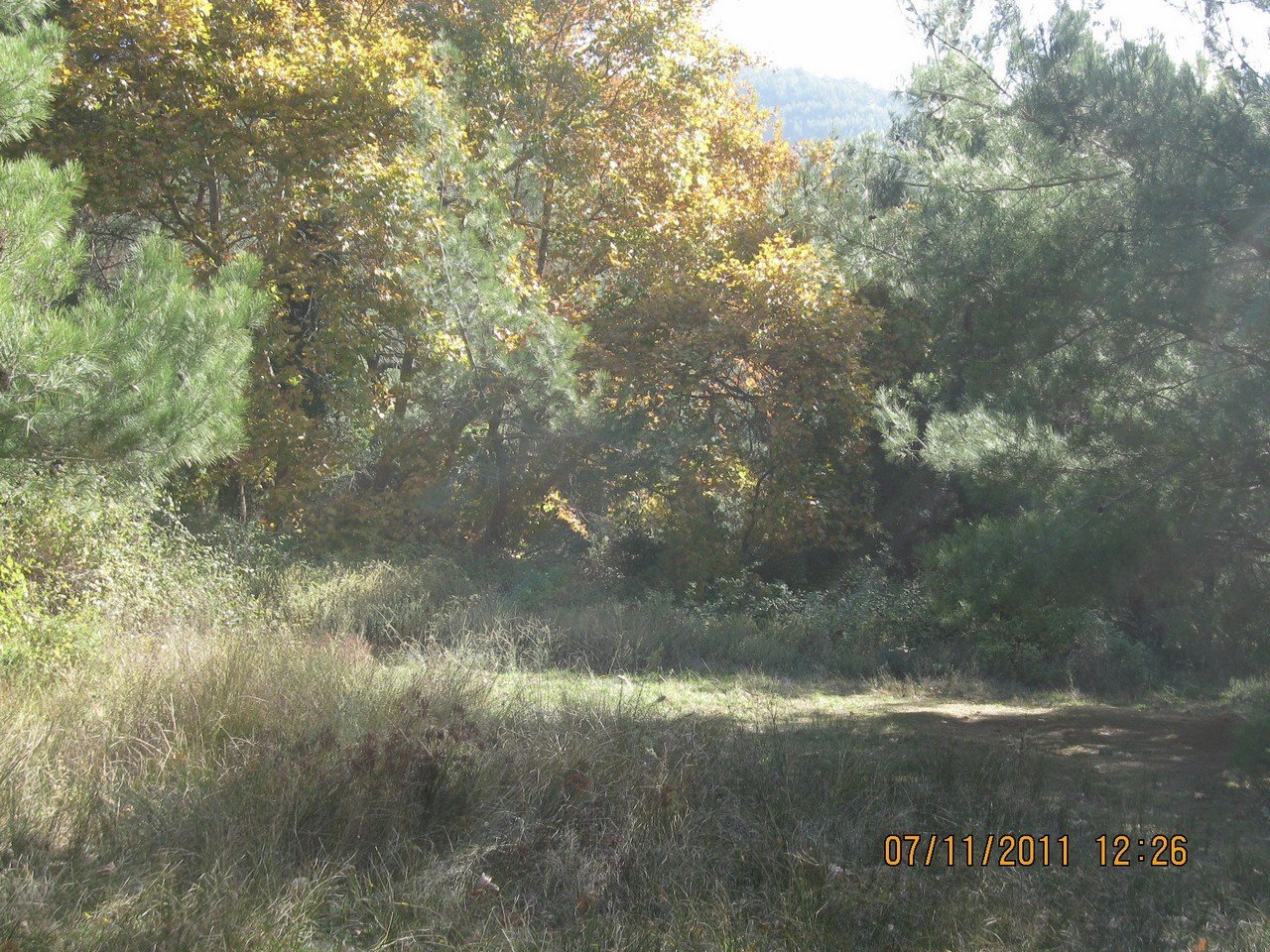 KavaklÃƒÂƒÃ‚Â„ÃƒÂ‚Ã‚Â±dere Kamp - KasÃƒÂƒÃ‚Â„ÃƒÂ‚Ã‚Â±m 2011 00004.jpg