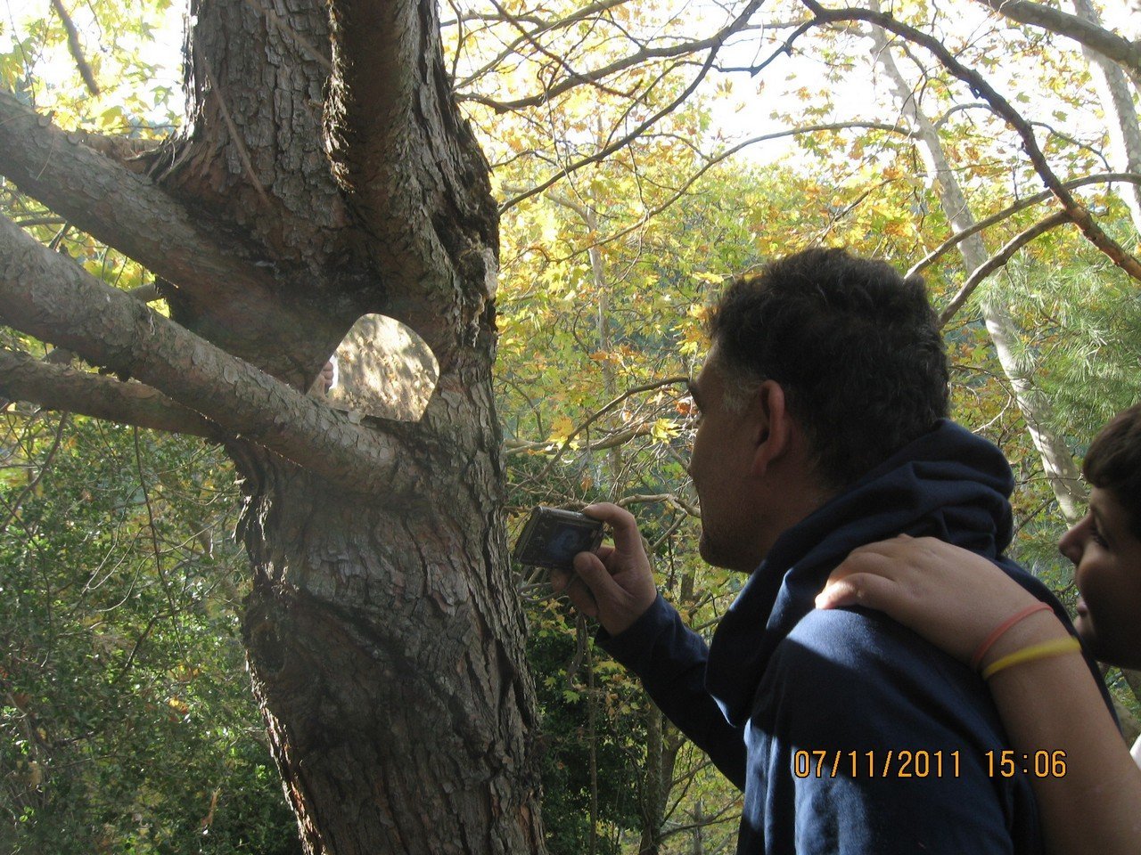 KavaklÃƒÂƒÃ‚Â„ÃƒÂ‚Ã‚Â±dere Kamp - KasÃƒÂƒÃ‚Â„ÃƒÂ‚Ã‚Â±m 2011 00019.jpg