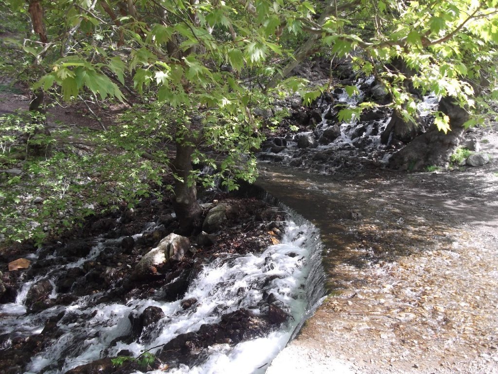 Kaynaklar - GÃƒÂƒÃ‚ÂƒÃƒÂ‚Ã‚Â¶kdere (29 Nisan 2012)  00028.jpg
