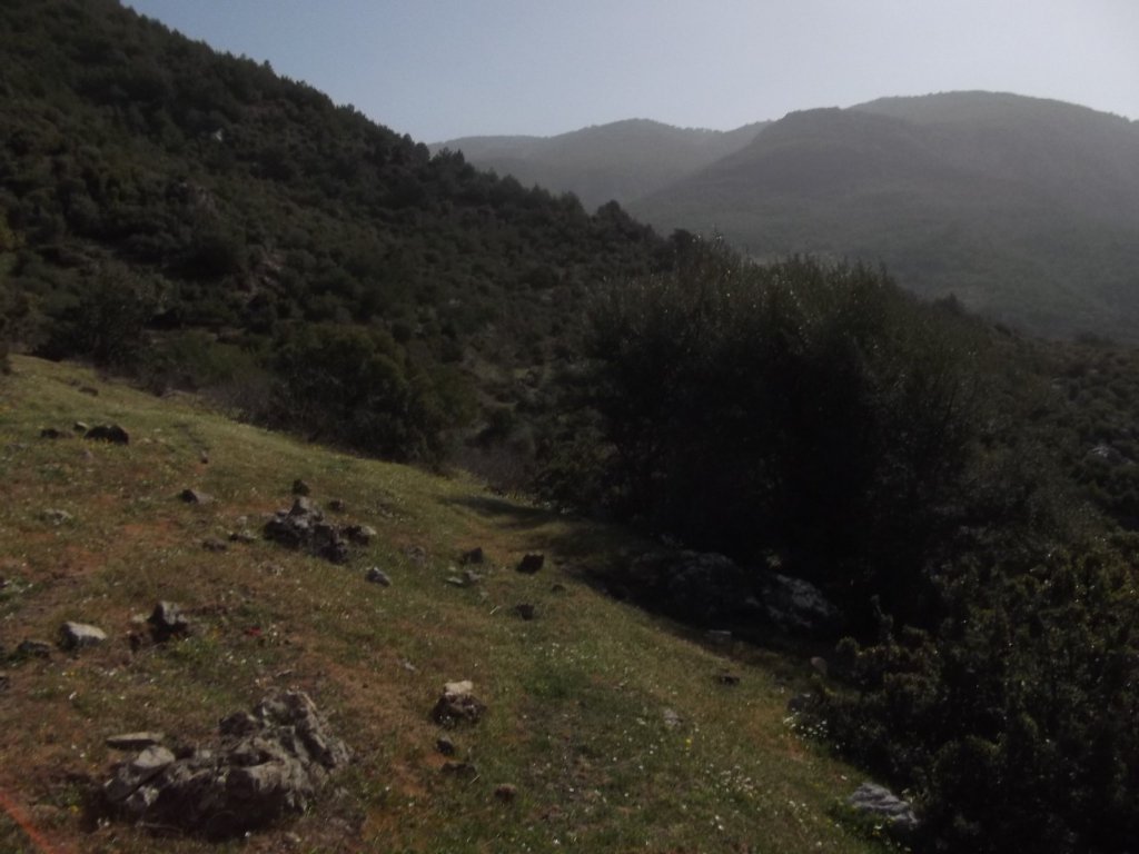 Kaynaklar - Nif - K.PaÃƒÂƒÃ‚Â…ÃƒÂ‚Ã‚ÂŸa(08 Nisan 2012)  00008.jpg