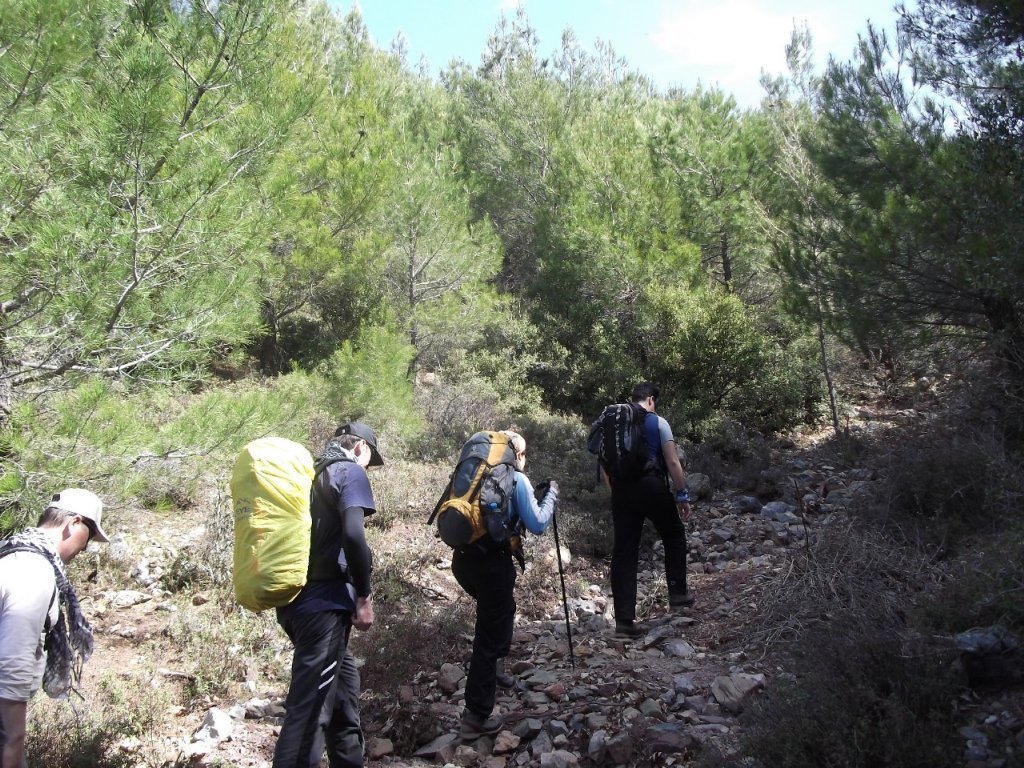 Kaynaklar - Nif - K.PaÃƒÂƒÃ‚Â…ÃƒÂ‚Ã‚ÂŸa(08 Nisan 2012)  00010.jpg