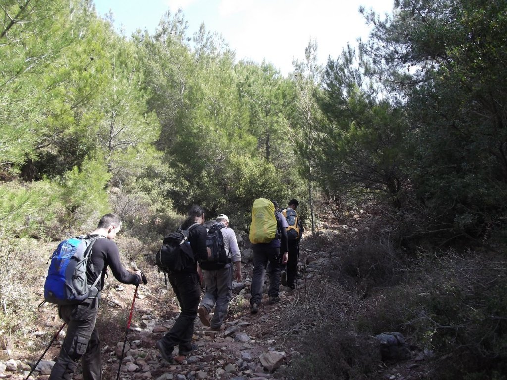 Kaynaklar - Nif - K.PaÃƒÂƒÃ‚Â…ÃƒÂ‚Ã‚ÂŸa(08 Nisan 2012)  00011.jpg