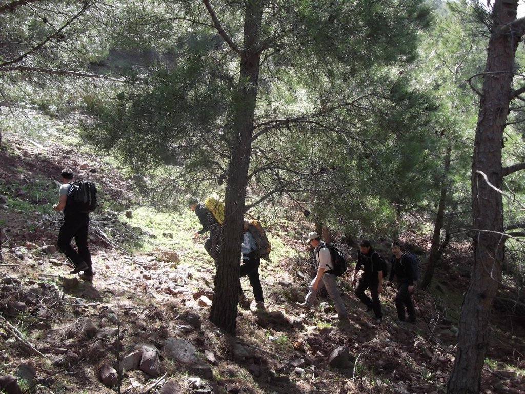 Kaynaklar - Nif - K.PaÃƒÂƒÃ‚Â…ÃƒÂ‚Ã‚ÂŸa(08 Nisan 2012)  00012.jpg